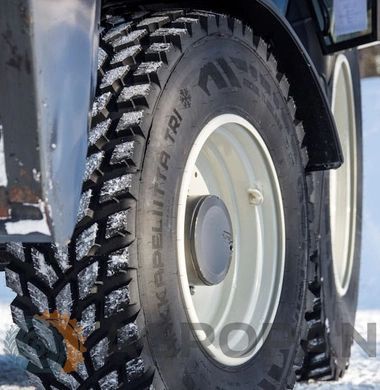 Шина 500/70R24 (19.5LR24) Hakkapeliitta TRI 171A8/166D Tubeless (Nokian) 615071 фото